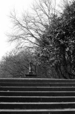 Garden at Smithills, near Bolton