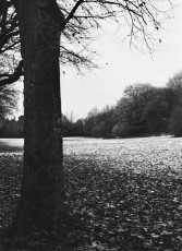 Snowy Heaton Park