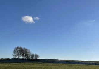 Heaton Park trees