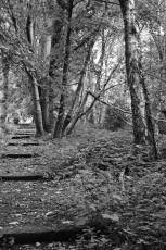 The Landslide, Salford
