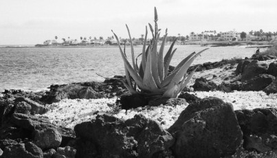 Corralejo beach, Fuerteventura