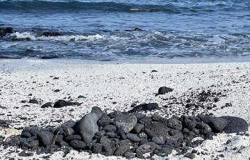 Grandes Playas, Corralejo, Fuerteventura