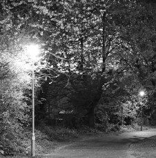 Swinton Greenway at sunset