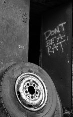 'Don't be a rat'. Brunswick Place, North Docks, Liverpool