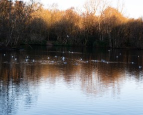 Heaton Park, Boxing Day, 2025